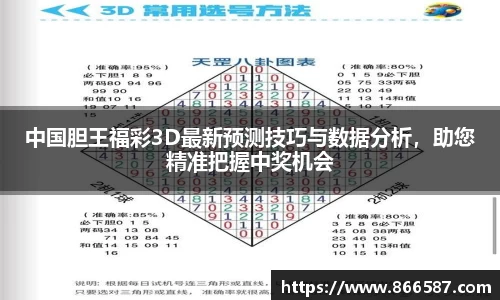 中国胆王福彩3D最新预测技巧与数据分析，助您精准把握中奖机会